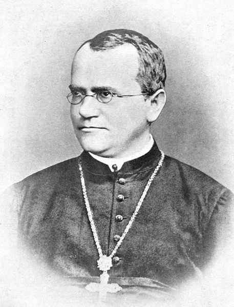 File:Gregor Mendel Monk.jpg