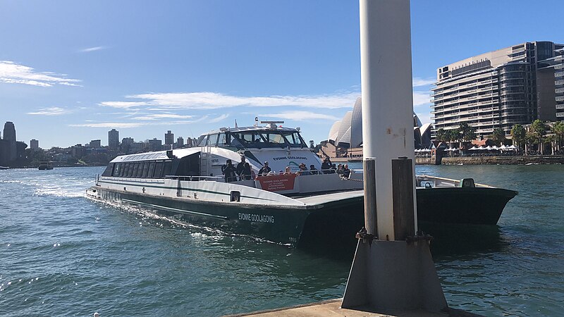 File:MV Evonne Goolagong.jpg