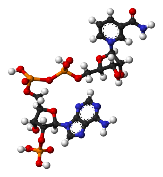 Файл:NADP-3D-balls.png