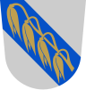 Coat of arms of Pattijoki