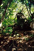 Garnets Ridge, Pitcairn Island