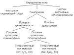 Миниатюра для Определение пола