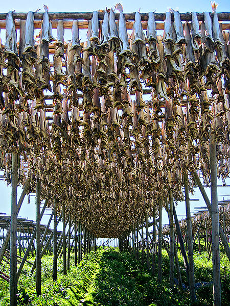 Файл:Stockfish in Lofoten.jpg