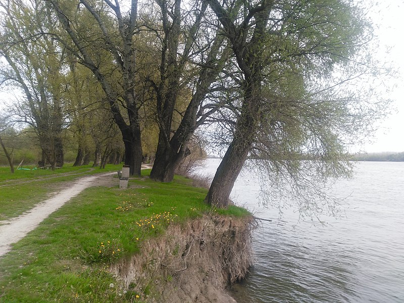 File:Borovo-Борово Danube 05.jpg