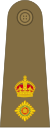 Lieutenant-colonel