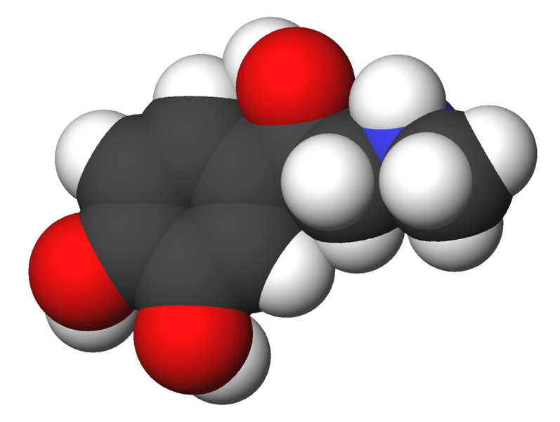 Файл:Epinephrine-3d-CPK.png