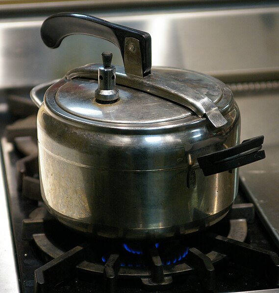 File:Pressure cooker oval lid.jpg