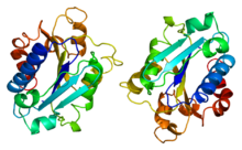 Protein ITGAM PDB 1bho.png