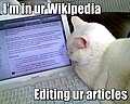 Imagen lolcat que utiliza el formato "Im in ur...". En el texto, se lee: "Estoy en tu Wikipedia, editando tus artículos."