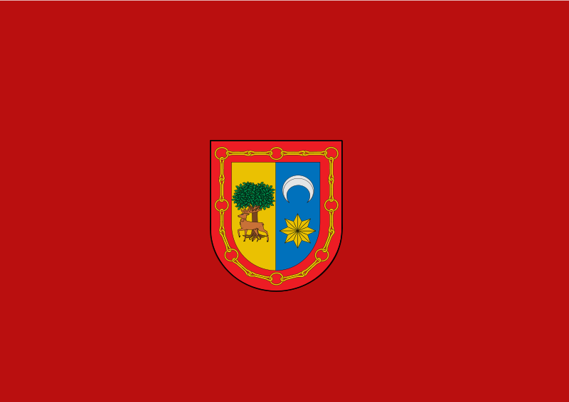 Файл:Bandera de Burguete.svg