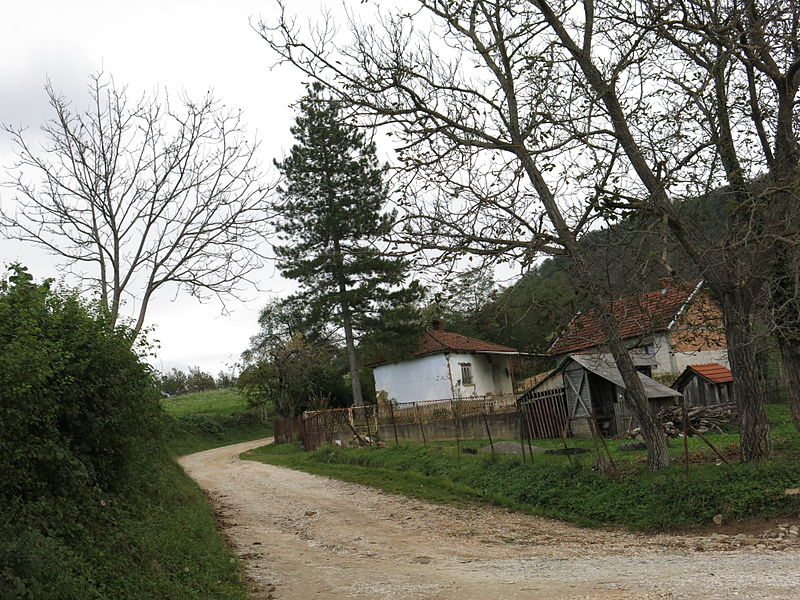 File:Brančić, Ulica, 06.jpg