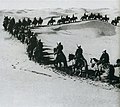 Chinese Muslim Cavalry