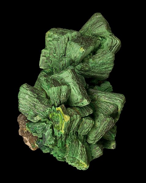 File:Metatorbernite sapin.jpg