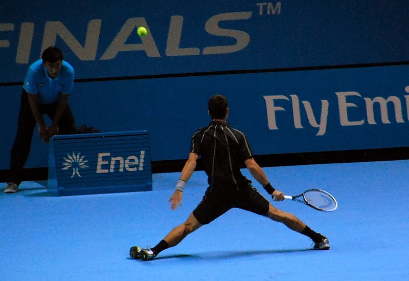 File:Novak Djokovic (10895750424).jpg