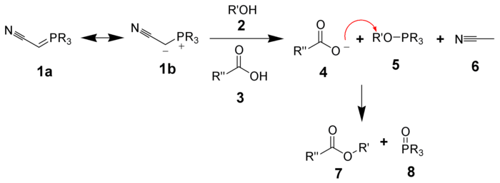 The mechanism of the phosphorane variant of the Mitsunobu reaction