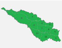 Elecciones municipales de San José de 2010