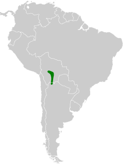 Distribución geográfica del chirigüe cabecigualdo.