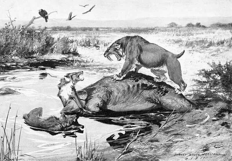 Файл:Smilodon and Canis dirus.jpg