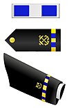 U.S. Navy Chief Warrant Officer 3 Rank Insignia