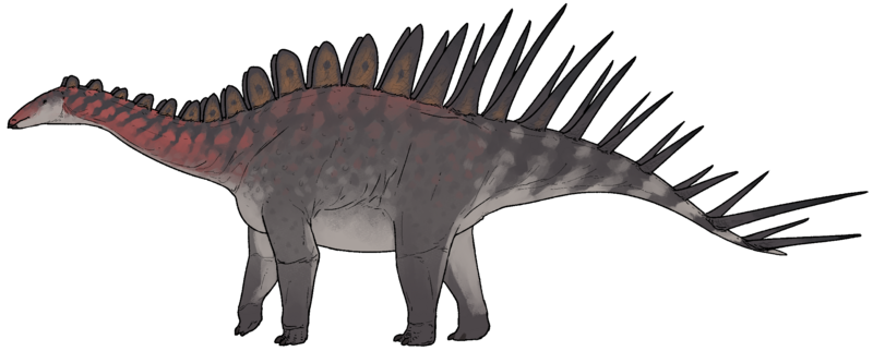 Archivo:Alcovasaurus longispinus.png