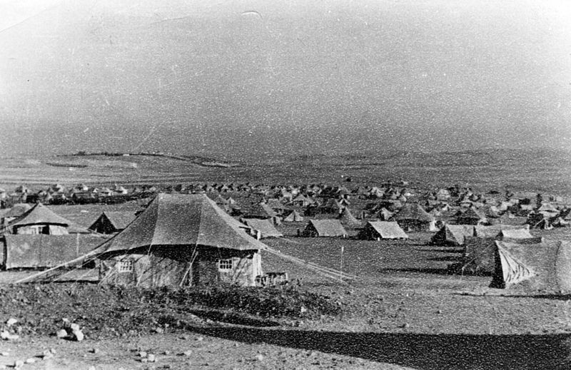 File:Camp Homs.jpg