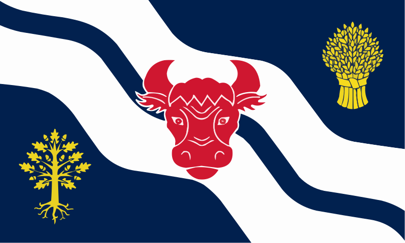 Archivo:Flag of Oxfordshire.svg