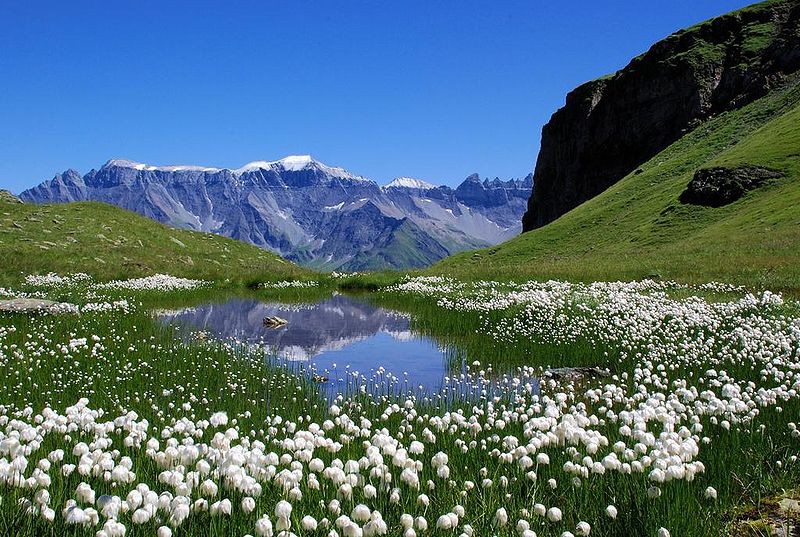 File:GlarusAlps.jpg