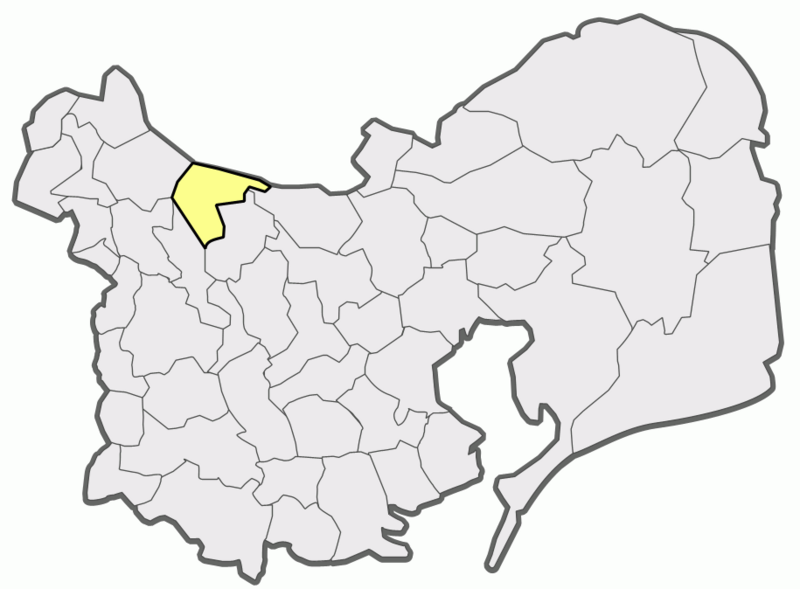 File:Isaccea jud Tulcea 1.png