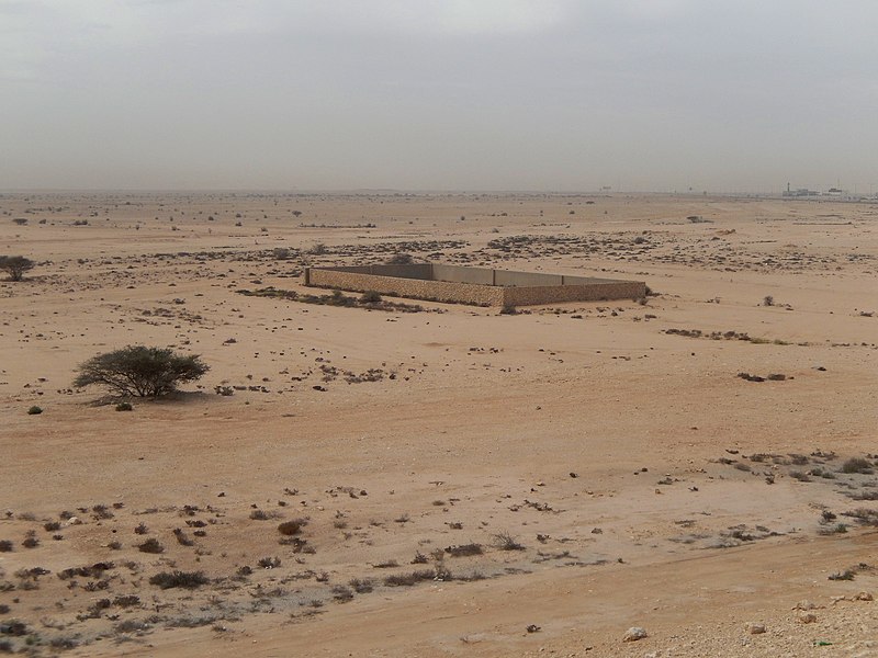 File:Qatar, Simaisma (12), desert.jpg