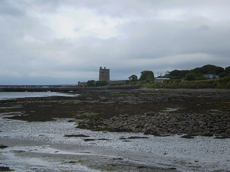 File:Carrigaholt castle.jpg