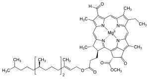 The structure of chlorophyll d