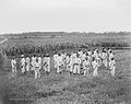 Image 30Juvenile African-American convicts working in the fields in a chain gang, photo taken c. 1903 (from Civil rights movement (1896–1954))