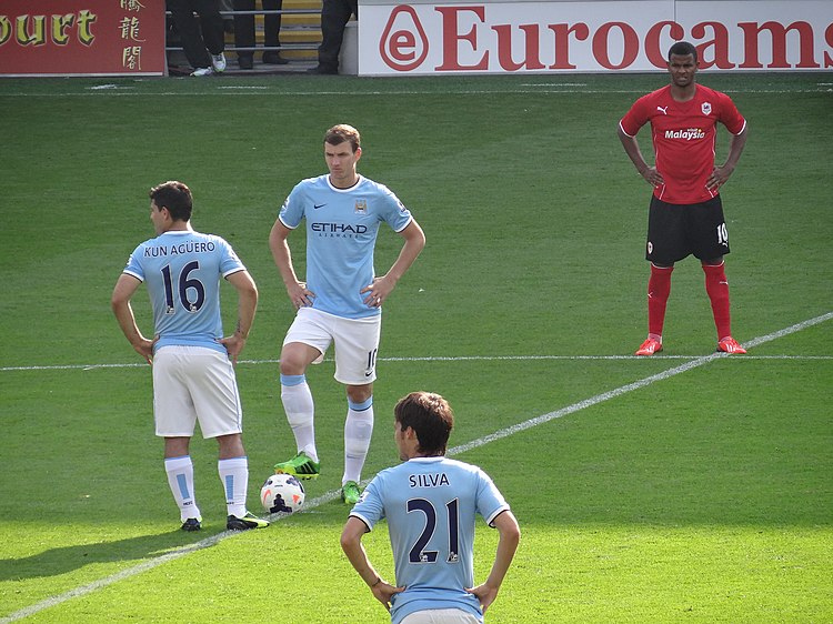 Edin Džeko, pictured in Manchester City shirt, began his career at FK Željezničar.