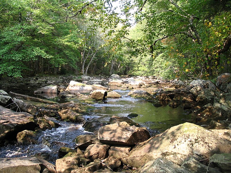 Файл:Little River in Fall.jpg