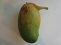 Mutant Mango