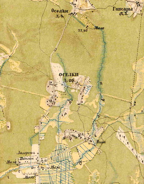 Деревни Осельки на карте 1885 года
