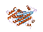 2aex: The 1.58A Crystal Structure of Human Coproporphyrinogen Oxidase Reveals the Structural Basis of Hereditary Coproporphyria