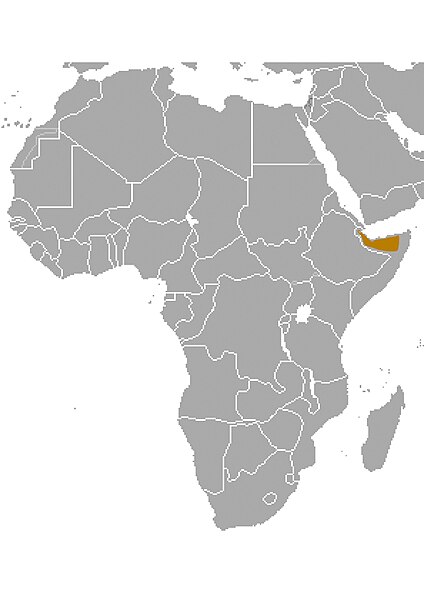 File:Somali sengi range.jpg