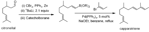 Synthesis of caparratriene using the Suzuki coupling