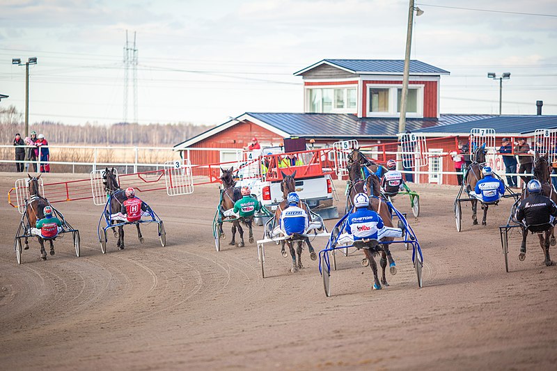 File:Harness racing starting car-3.jpg