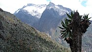 Glaciers on Mt. Speke in the Rwenzori Mountains