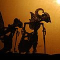 Wayang kulit as seen by the audience