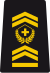 WO-3 - Master warrant officer