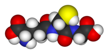 Glutathione-3D-vdW.png