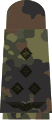 black emblem on 5-color-flecktarn – Luftwaffe (Stabshauptmann)