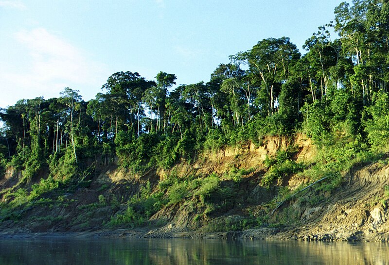 File:Manu riverbank.jpg