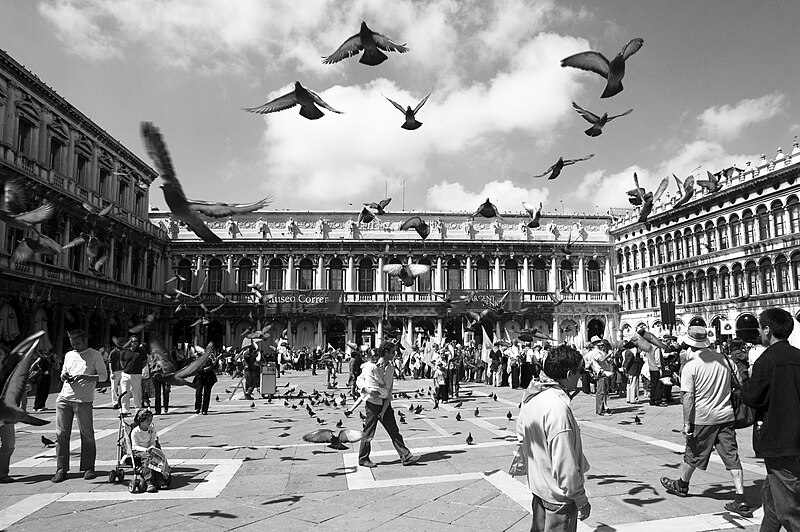 File:Piazza san marco.jpg