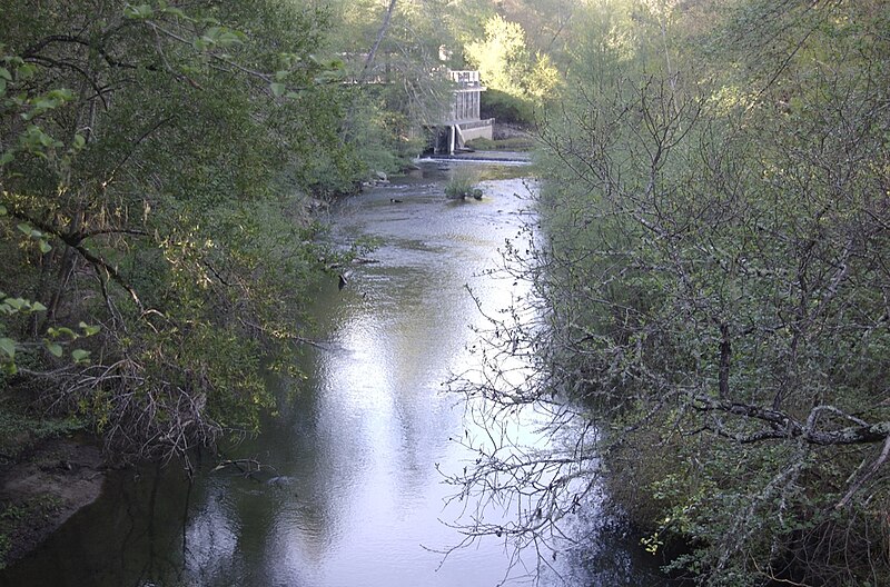 File:San Lorenzo River.jpg