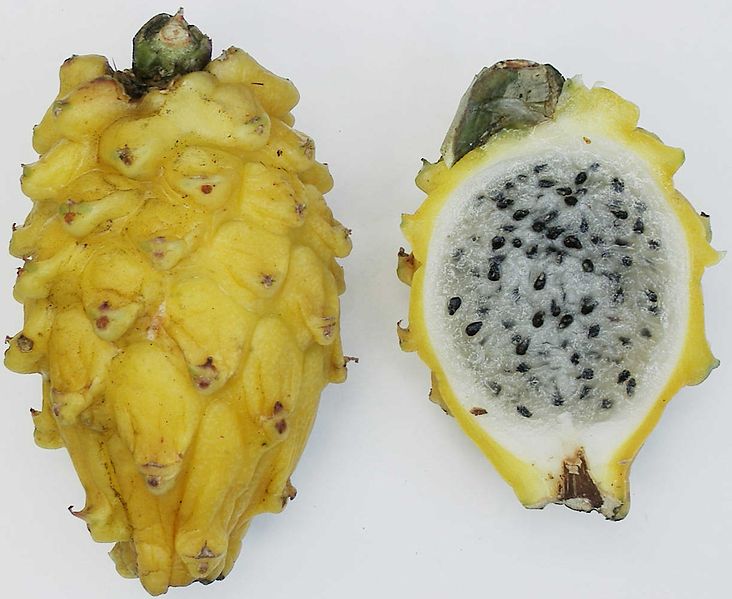 Файл:Yellow pitaya.jpg