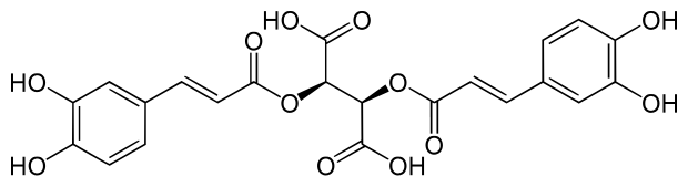 File:Chicoric acid.svg